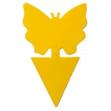 Coocnh fruit fly trap