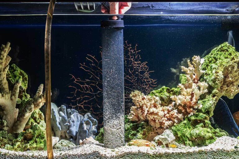 aquarium vacuum cleaner