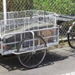 bike cargo trailer