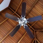 ceiling fan