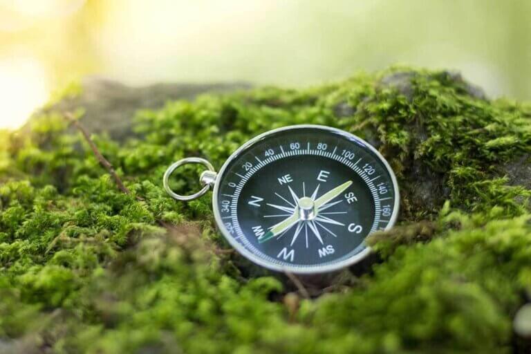 compass