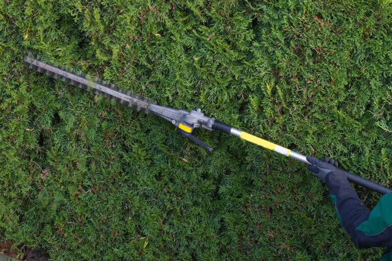 cordless extendable hedge trimmer