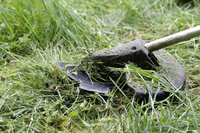 cordless lawn trimmer