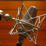 directional microphone