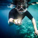 dive torch