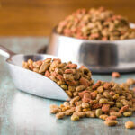 dog food for weight loss