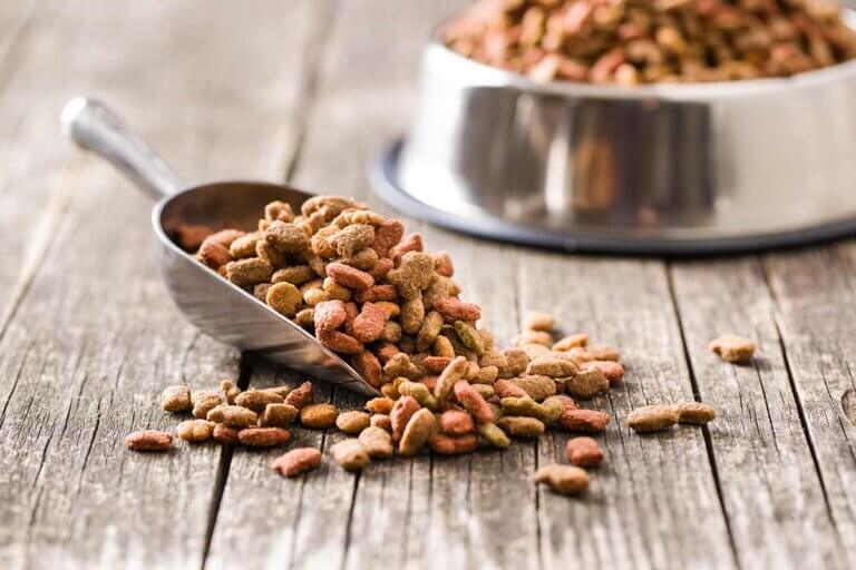 dried dog food