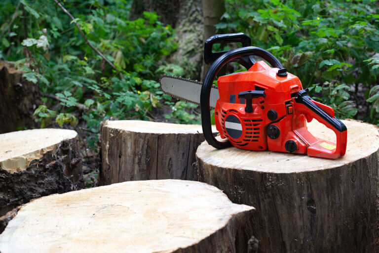 electric chainsaw