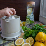 electric citrus juicer