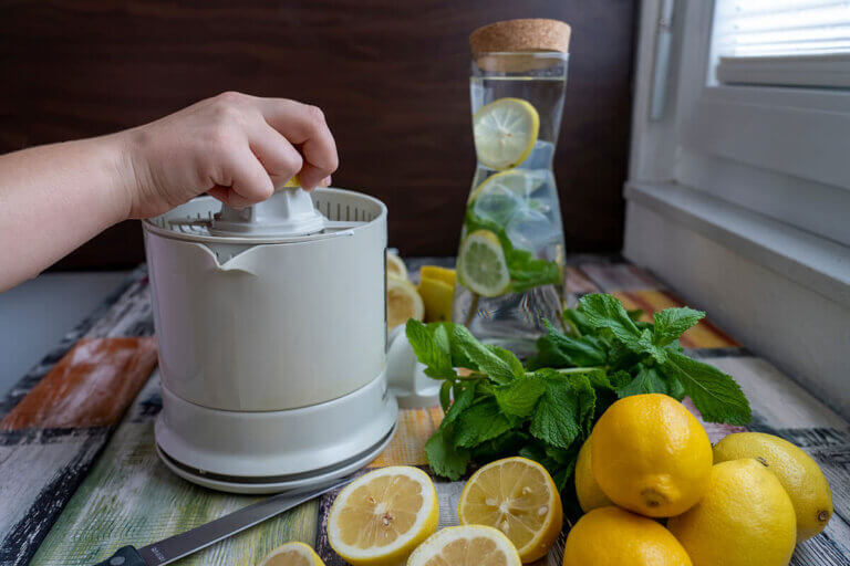 electric citrus juicer