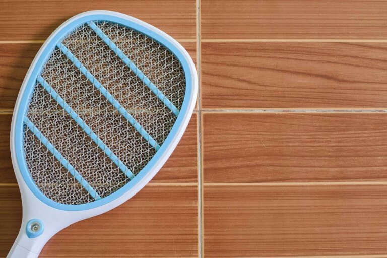electric fly swatter