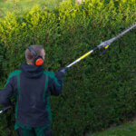 extendable hedge trimmer