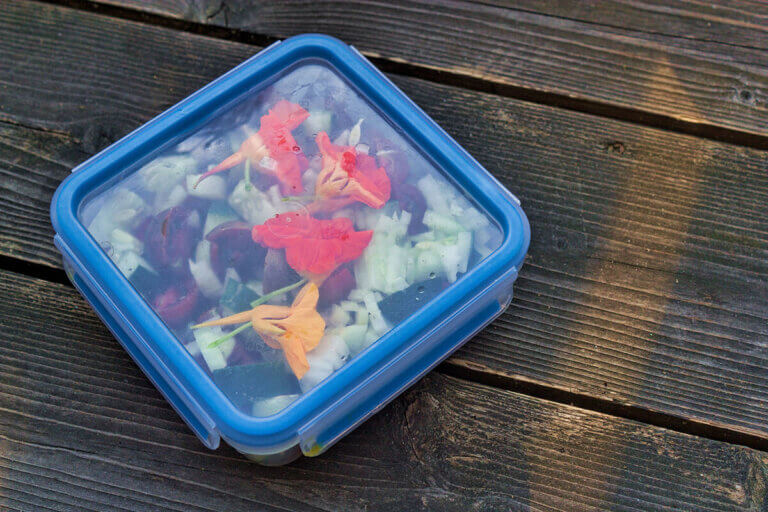 food storage container
