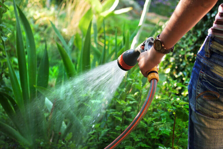 garden hose spray gun
