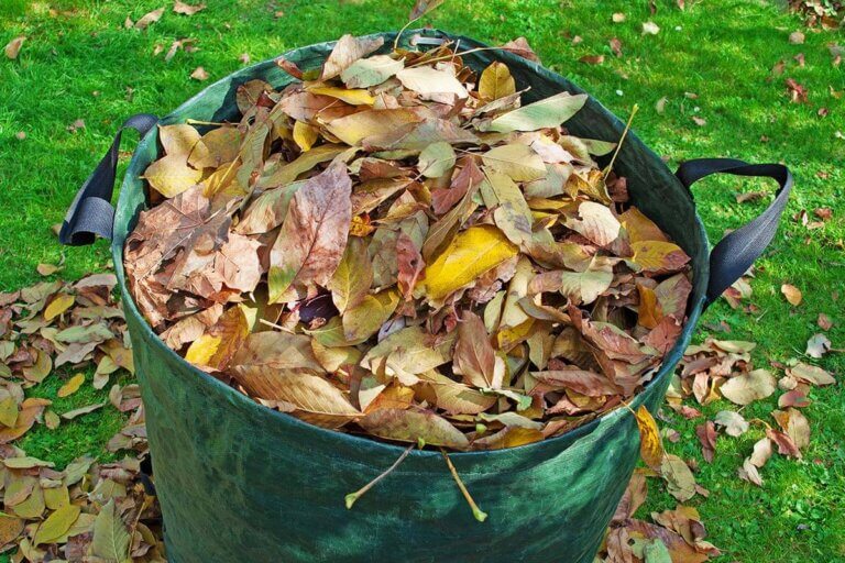 garden waste bag