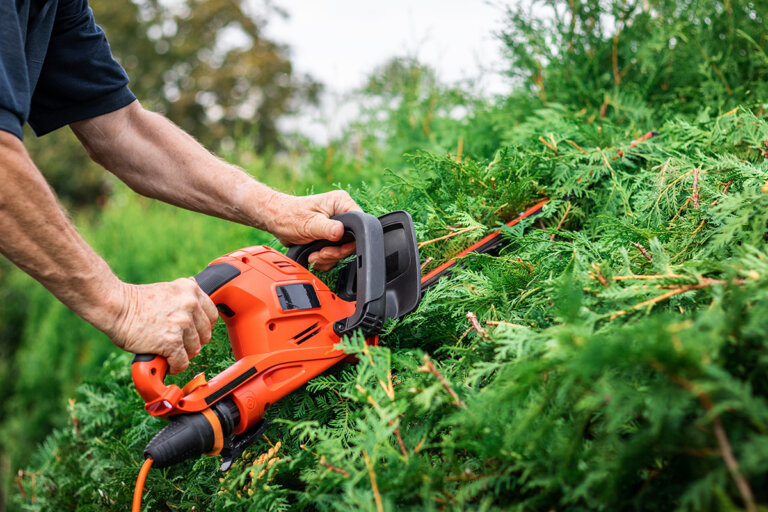 hedge trimmer