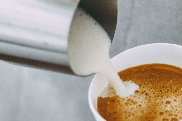 induction milk frother