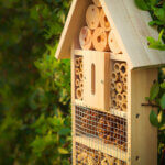 insect hotel