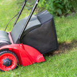 lawn scarifier