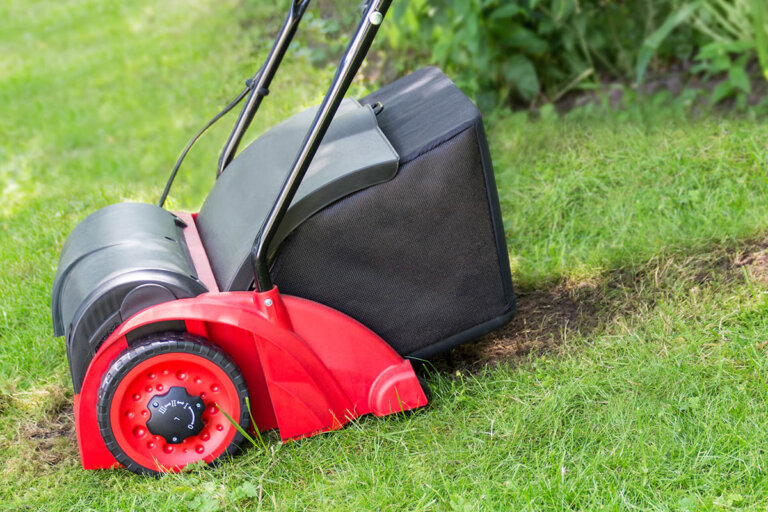 lawn scarifier