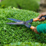 manual hedge trimmer