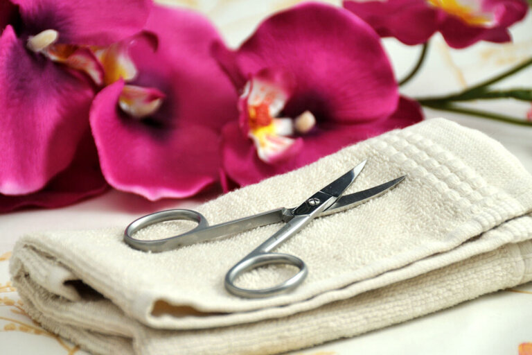nail scissors