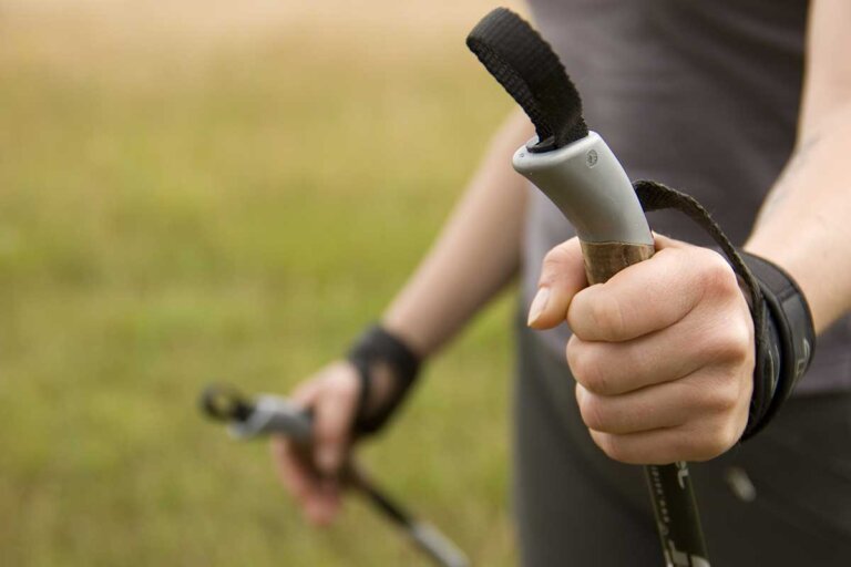 nordic walking poles