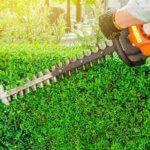 petrol hedge trimmer