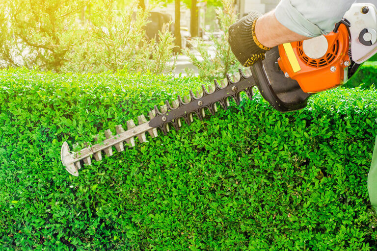 petrol hedge trimmer