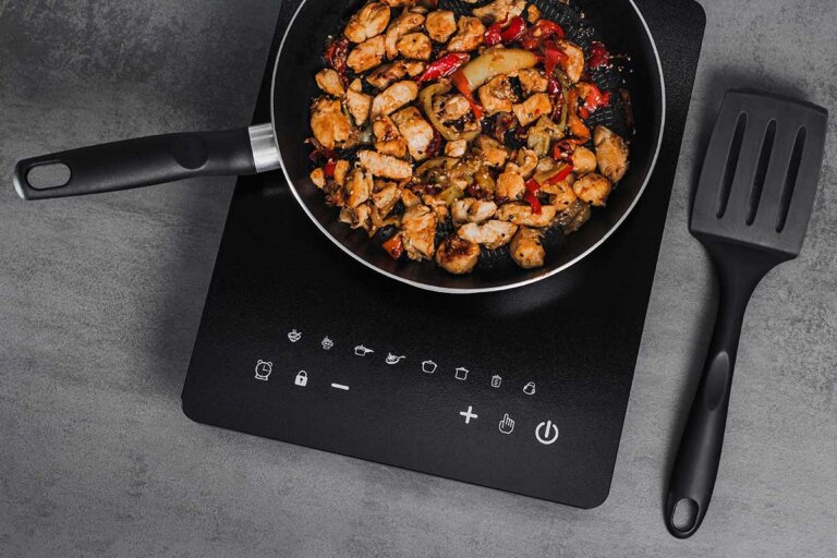 portable induction cooker