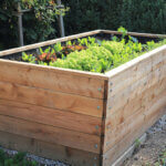 raised bed