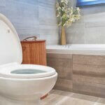 soft close toilet seat