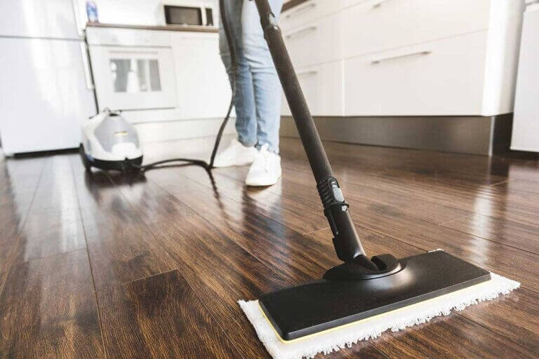 steam vacuum cleaner