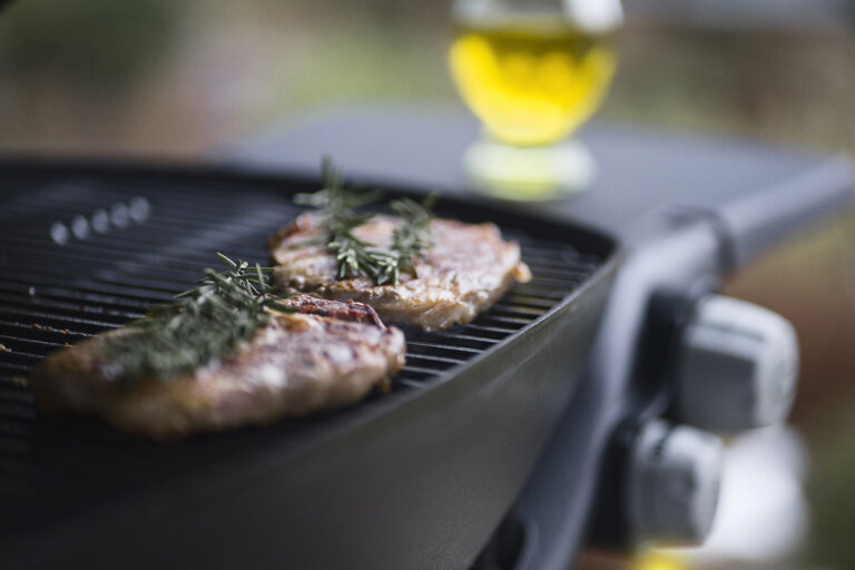 tabletop gas grill