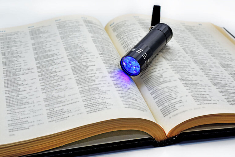 UV flashlight